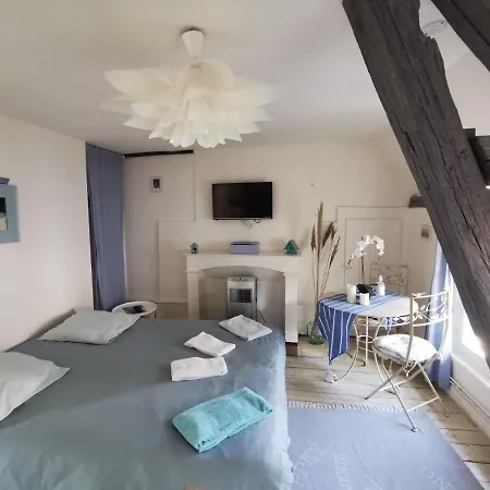 Les Cieux De La Cathedrale - Calme - Jardin - Wifi Apartment Troyes Exterior photo