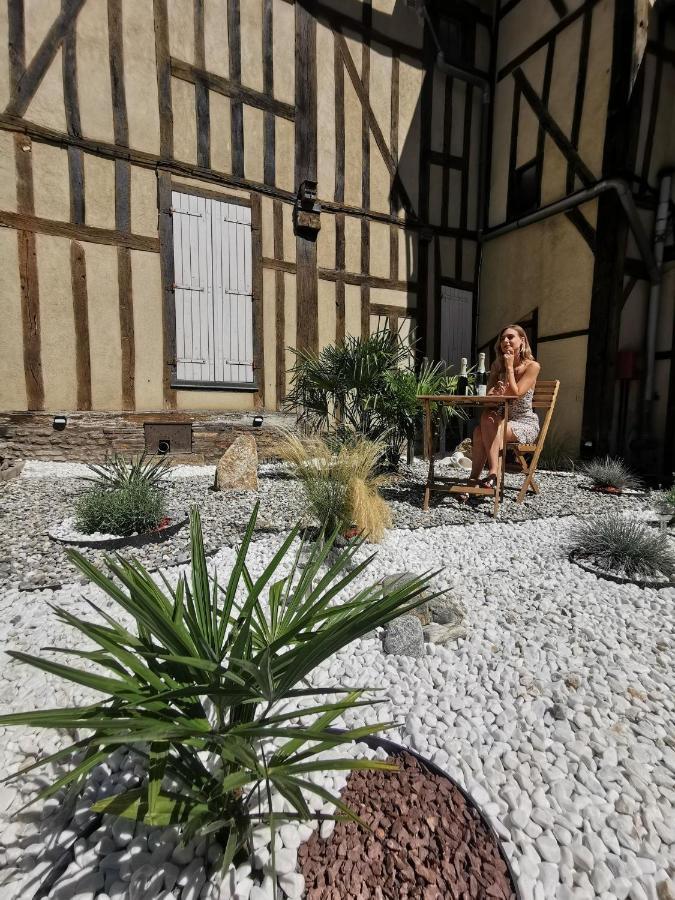 Les Cieux De La Cathedrale - Calme - Jardin - Wifi Troyes